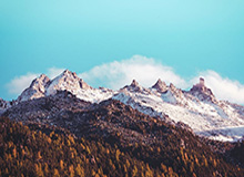 开云体育网站-62股今日获机构买入评级